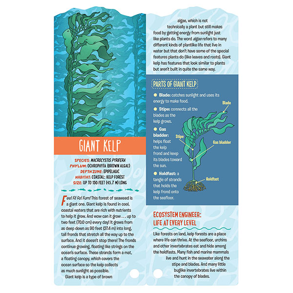 Product image for Fandex Kids Fact Cards: Ocean