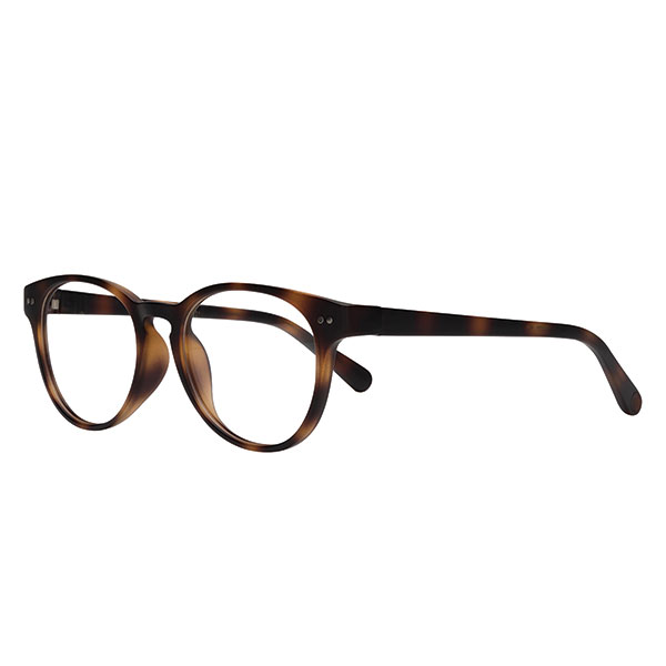 Product image for Abbey Tortoise Readers