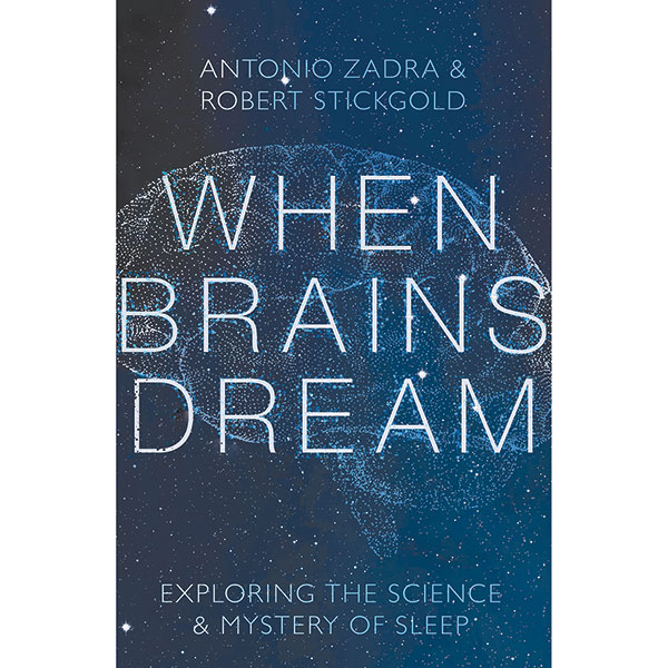 When Brains Dream