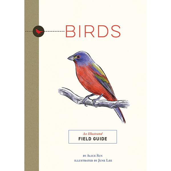 Product image for Birds: An Illustrated Field Guide 