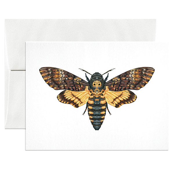 Lepidoptera Cards