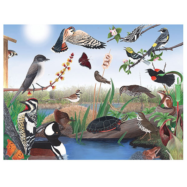 Product image for Seasonal Puzzle: Spring Trail