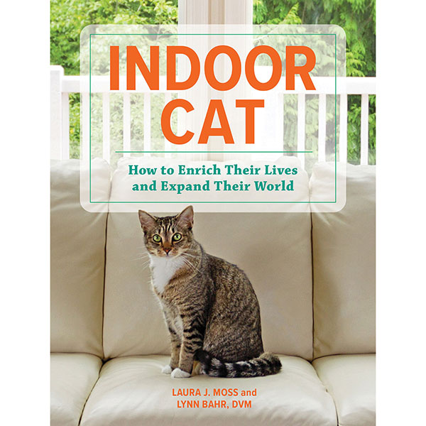 Product image for Indoor Cat