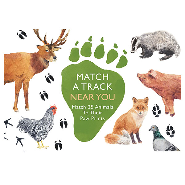Product image for Match a Track Game 