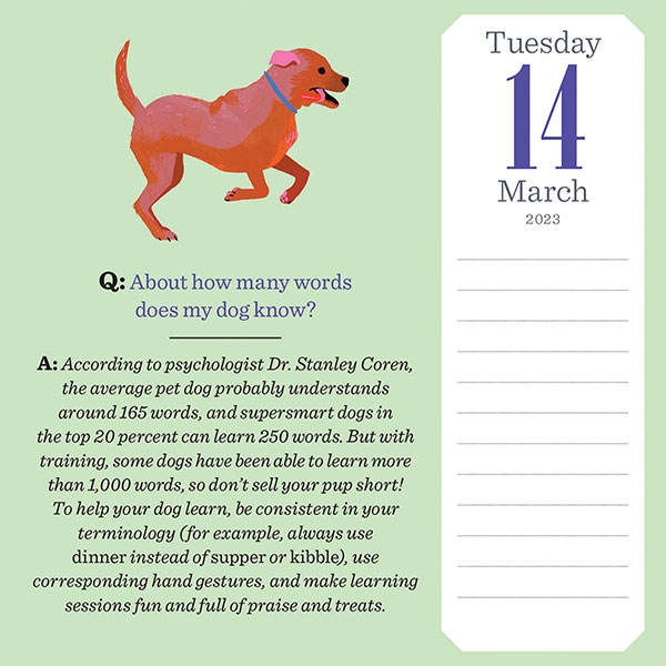 2023 Pet Trivia Page-A-Day&reg; Calendar: Dog