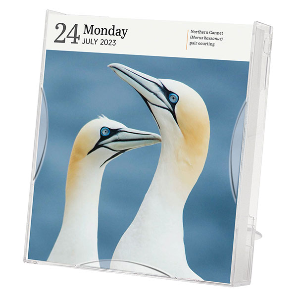 2023 Audubon Birds Page-A-Day&reg; Gallery Calendar