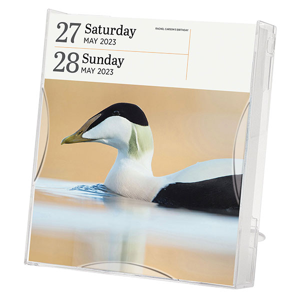 2023 Audubon Birds Page-A-Day&reg; Gallery Calendar