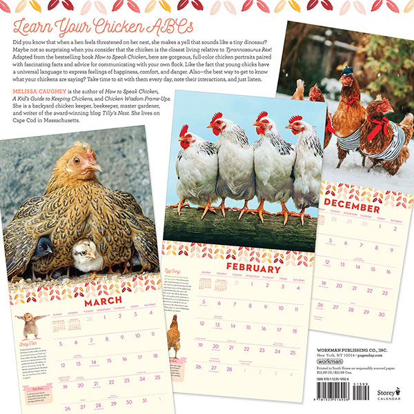 Product image for 2023 How to Speak Chicken Wall Calendar 