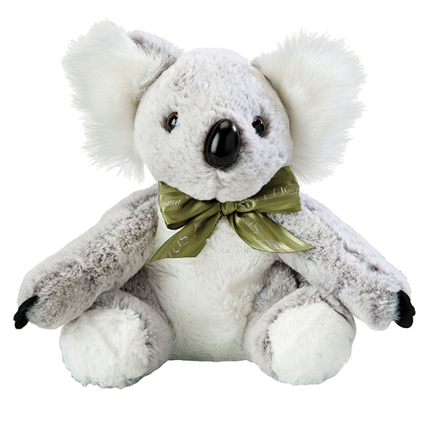 Product image for Eucalyptus Koala Plush