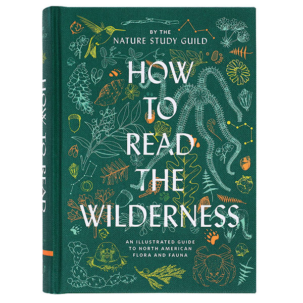 How To Read the Wilderness