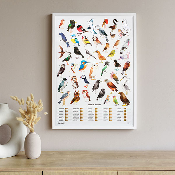 Product image for Birds of Interest Interactive Poster