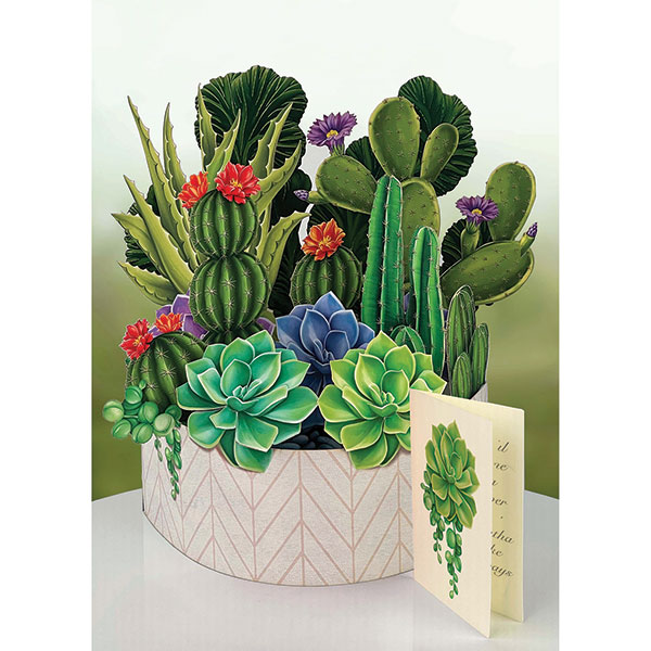 Product image for Cactus Garden Pop-Up Bouquet Card