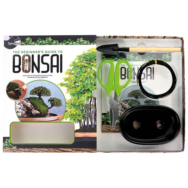 Product image for The Beginner's Guide to Bonsai