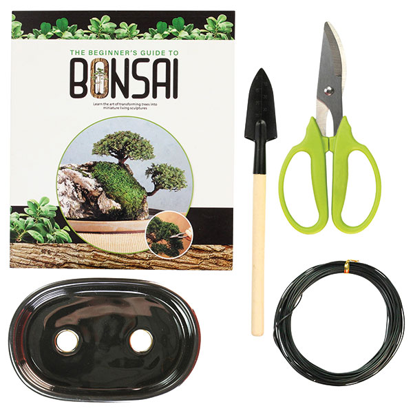 Product image for The Beginner's Guide to Bonsai