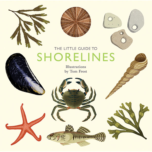 Product image for  The Little Guide to Shorelines