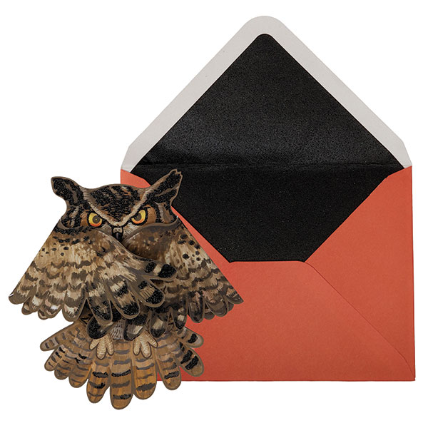 Product image for Halloween Owl Card