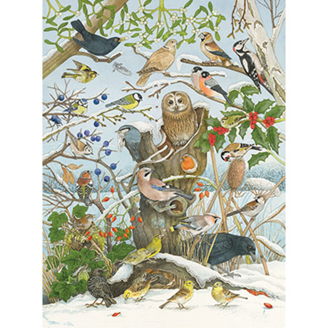 Product image for Birds in Winter Advent Calendar