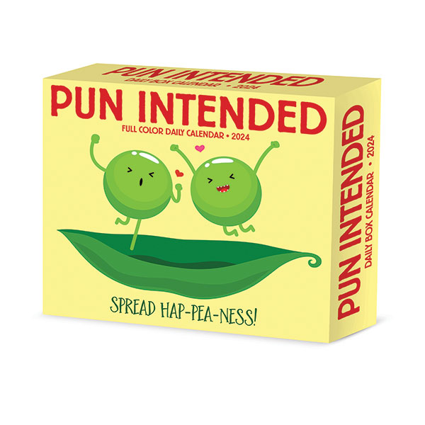 Product image for 2024 Pun Intended Daily Calendar