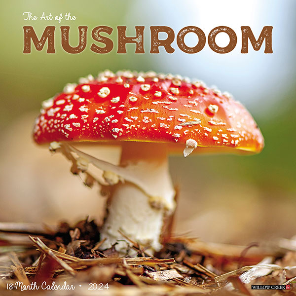 Product image for 2024 Art of the Mushroom Wall Calendar