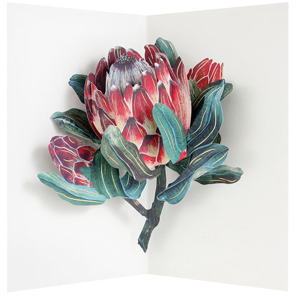 Product image for Exotic Flower Pop-Up Cards