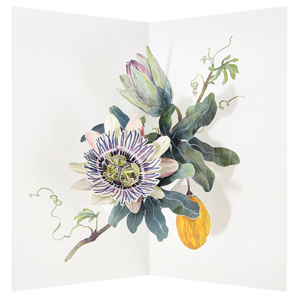 Product image for Exotic Flower Pop-Up Cards