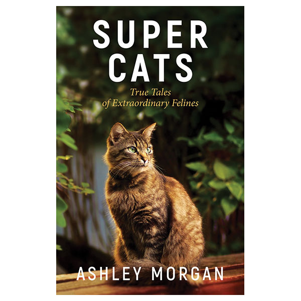 Product image for Super Cats