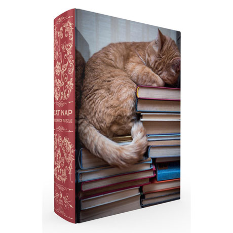 Book Box Puzzles - Cat Nap