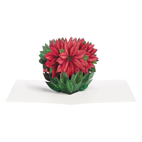 Cheerful Poinsettia Pop-Up Christmas Greeting Cards