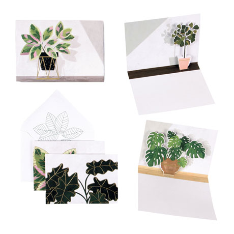 Potted Plants Note Cards