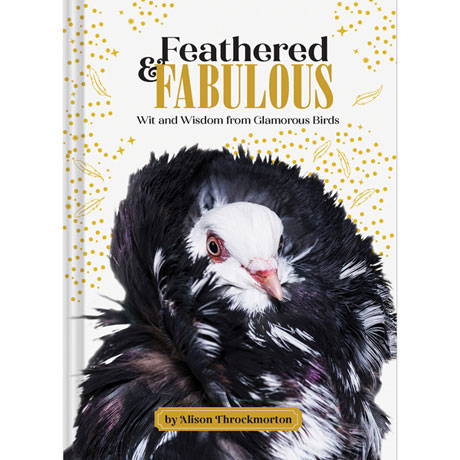 Feathered and Fabulous: Wit and Wisdom from Glamorous Birds