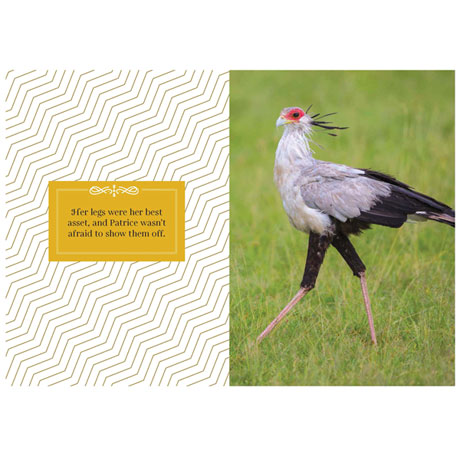Feathered and Fabulous: Wit and Wisdom from Glamorous Birds