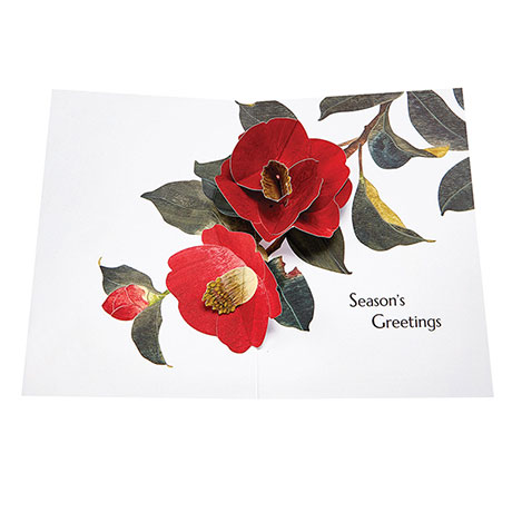 Christmas Camellia Pop-Up Cards