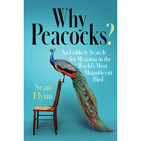 Why Peacocks?: An Unlikely Search for Meaning in the World's Most Magnificent Bird