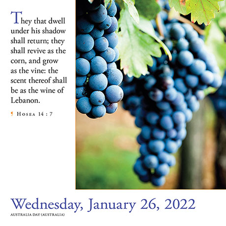 2022 365 Bible Verses Calendar