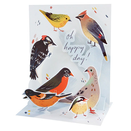 North American Birds Boxed Cards