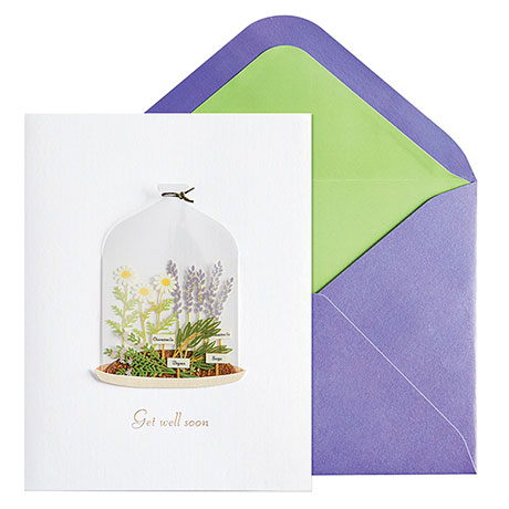 Plants in Cloche Get Well Soon Card