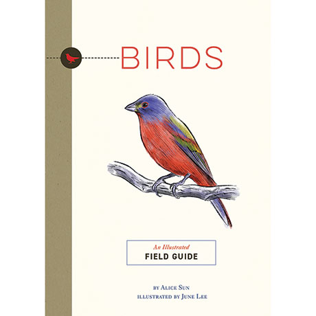 Birds: An Illustrated Field Guide 