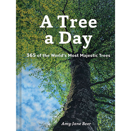 A Tree a Day 