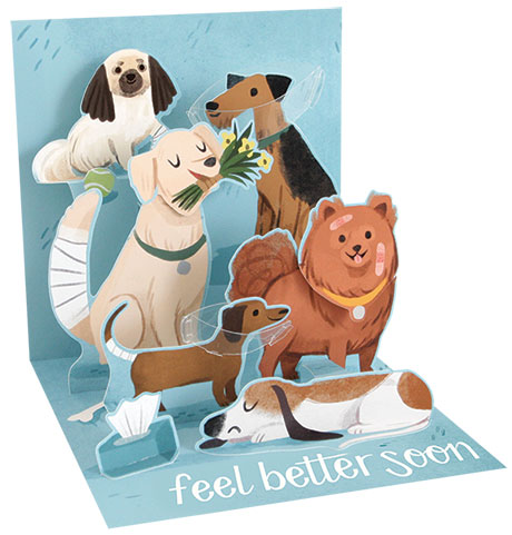Get Well Dogs Pop-Up Card