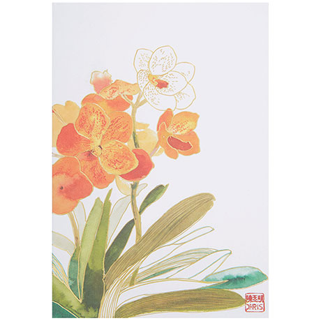 Exotic Orchids Note Card Set