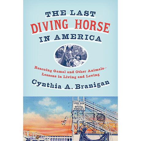 The Last Diving Horse in America