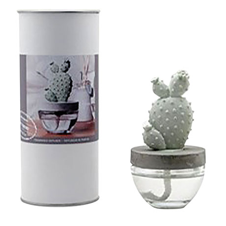 Cactus Fragrance Diffusers: White Flower