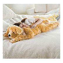 Alternate image for Golden Retriever Body Pillow