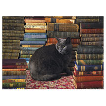 Alternate image Library Cat Puzzle