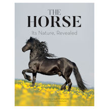 Alternate image The Horse