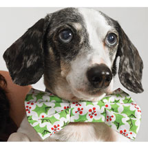 Alternate image Doggy Bowtie Christmas Card