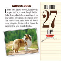 Alternate image 2019 Dog Trivia Page-a-Day Calendar
