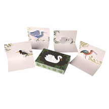 Alternate image Aquatic Birds Pop-Up Boxed Greeting Note Greeting Cards