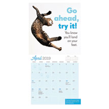 Alternate image 2019 Really Important Stuff My Cat Has Taught Me Calendar