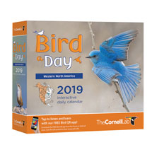 Alternate image 2019 Bird a Day Calendar: Western North America